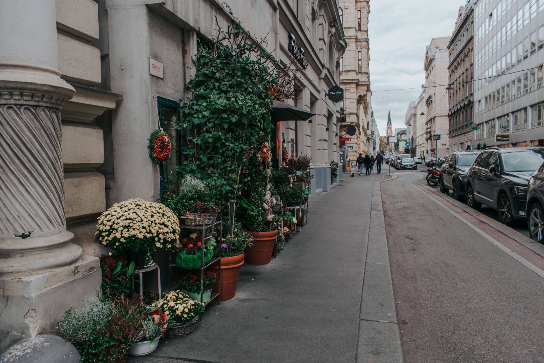 Side street in Vienna adorned with potted plants and classic architecture